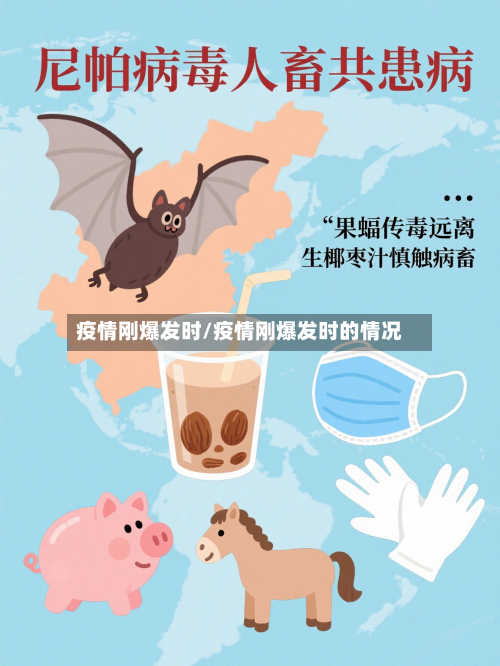 疫情刚爆发时/疫情刚爆发时的情况