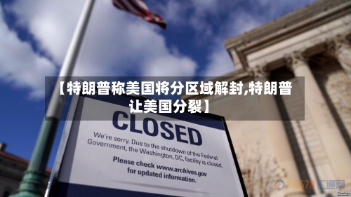 【特朗普称美国将分区域解封,特朗普让美国分裂】-第2张图片