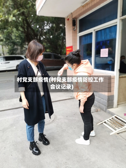 村党支部疫情(村党支部疫情防控工作会议记录)