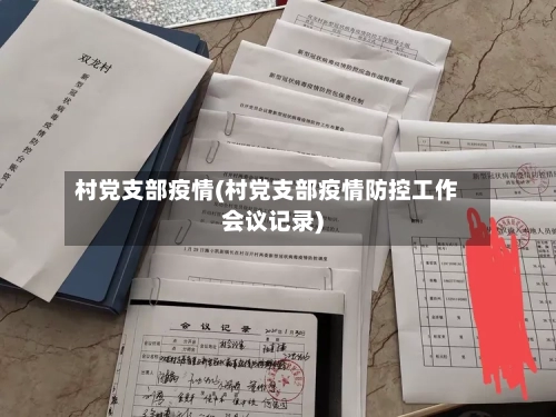 村党支部疫情(村党支部疫情防控工作会议记录)-第2张图片