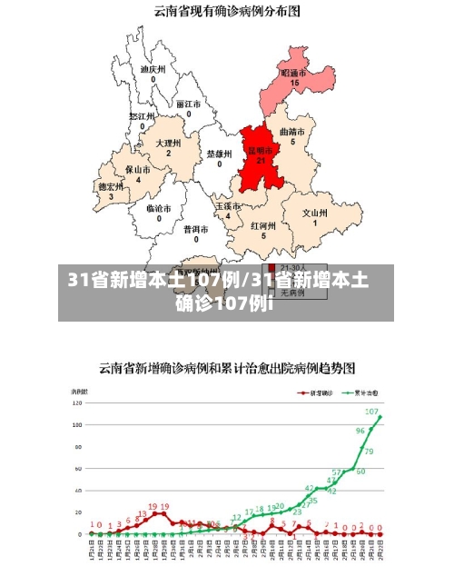 31省新增本土107例/31省新增本土确诊107例i