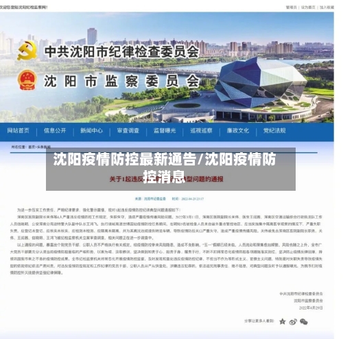 沈阳疫情防控最新通告/沈阳疫情防控消息-第2张图片