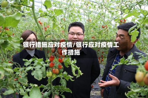 银行措施应对疫情/银行应对疫情工作措施-第3张图片