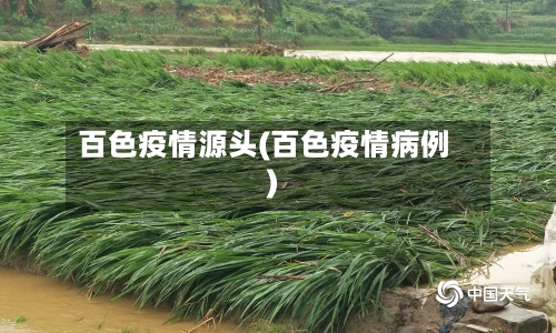 百色疫情源头(百色疫情病例)