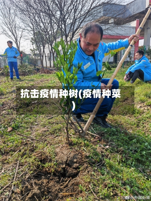抗击疫情种树(疫情种菜)