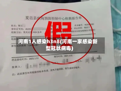 河南1人感染h3n8(河南一家感染新型冠状病毒)-第2张图片