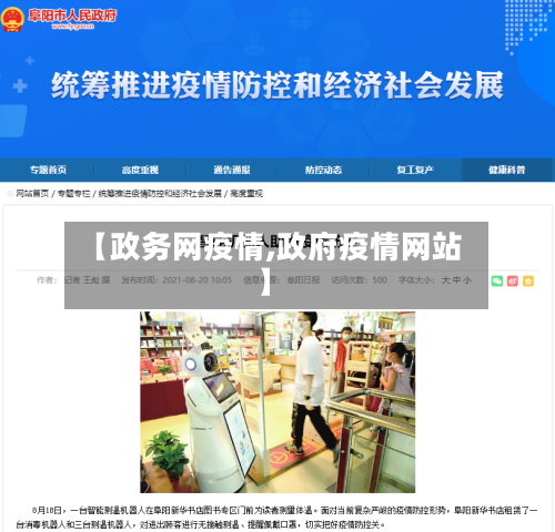 【政务网疫情,政府疫情网站】