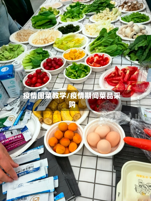 疫情囤菜教学/疫情期间菜品采购