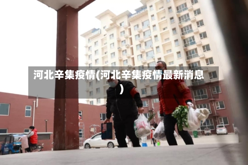河北辛集疫情(河北辛集疫情最新消息)-第2张图片