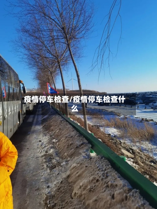 疫情停车检查/疫情停车检查什么