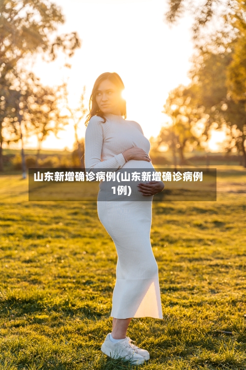 山东新增确诊病例(山东新增确诊病例1例)