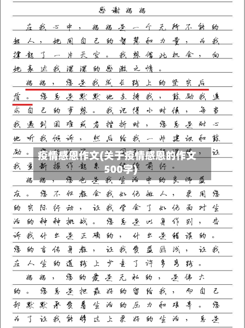 疫情感恩作文(关于疫情感恩的作文500字)-第2张图片