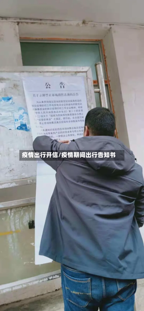 疫情出行开信/疫情期间出行告知书-第3张图片