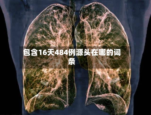 包含16天484例源头在哪的词条-第2张图片