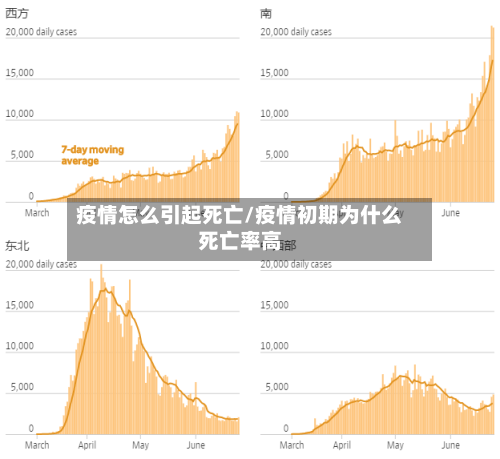 疫情怎么引起死亡/疫情初期为什么死亡率高