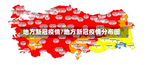 地方新冠疫情/地方新冠疫情分布图