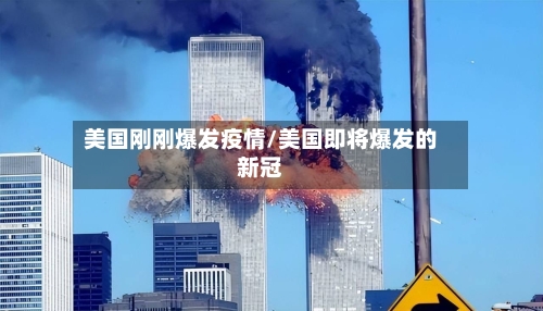美国刚刚爆发疫情/美国即将爆发的新冠-第2张图片