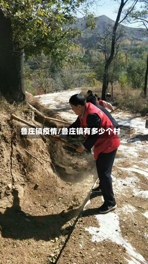 鲁庄镇疫情/鲁庄镇有多少个村