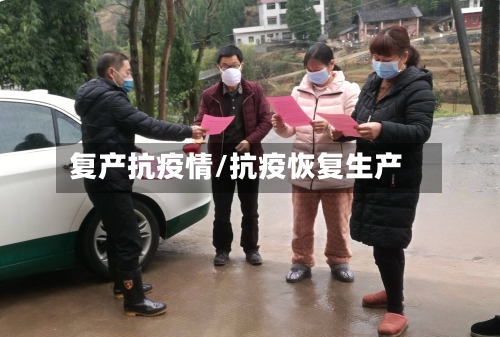 复产抗疫情/抗疫恢复生产-第2张图片