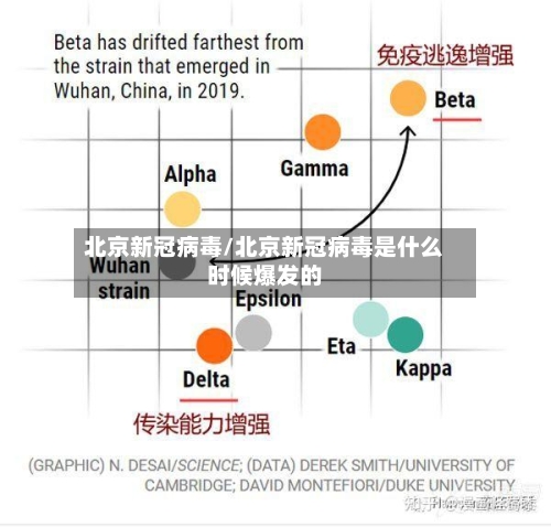 北京新冠病毒/北京新冠病毒是什么时候爆发的