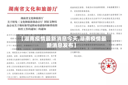 【湖南疫情最新消息今天,湖南疫情最新消息发布】-第3张图片