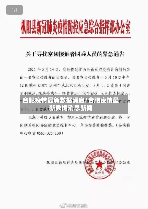 合肥疫情最新数据消息/合肥疫情最新数据消息新闻-第3张图片