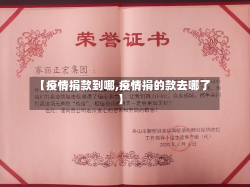 【疫情捐款到哪,疫情捐的款去哪了】-第3张图片