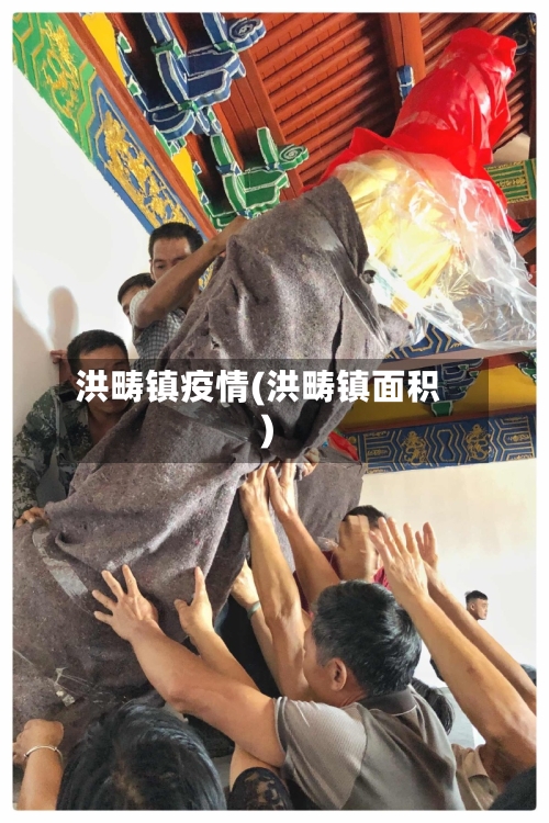 洪畴镇疫情(洪畴镇面积)-第3张图片