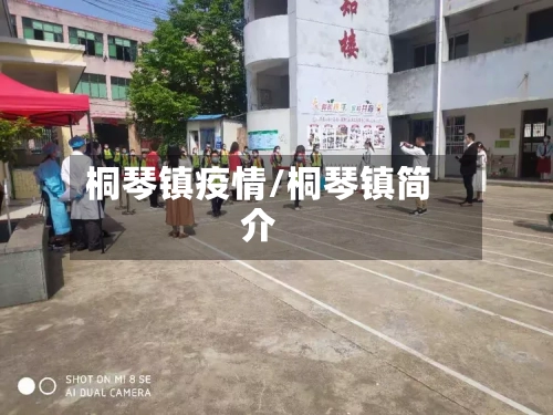 桐琴镇疫情/桐琴镇简介-第2张图片