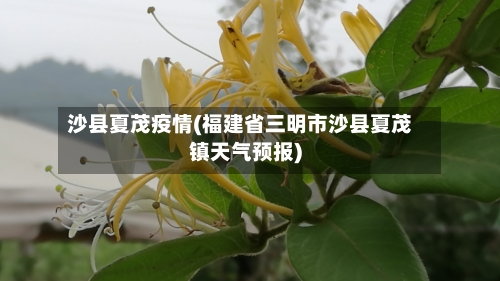 沙县夏茂疫情(福建省三明市沙县夏茂镇天气预报)-第2张图片
