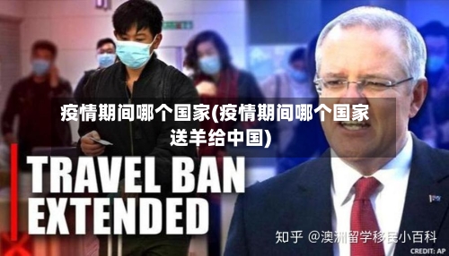 疫情期间哪个国家(疫情期间哪个国家送羊给中国)-第2张图片