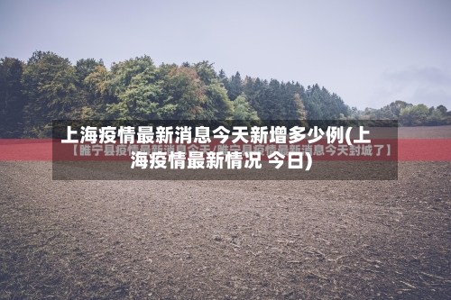 上海疫情最新消息今天新增多少例(上海疫情最新情况 今日)-第3张图片