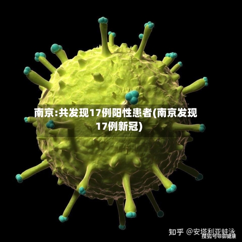 南京:共发现17例阳性患者(南京发现17例新冠)