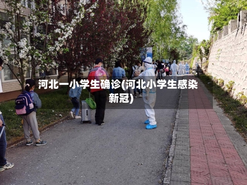 河北一小学生确诊(河北小学生感染新冠)