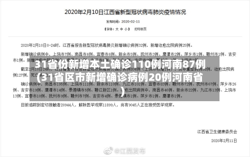 31省份新增本土确诊110例河南87例(31省区市新增确诊病例20例河南省)