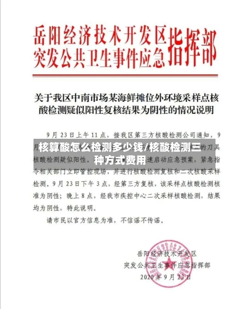 核算酸怎么检测多少钱/核酸检测三种方式费用-第2张图片