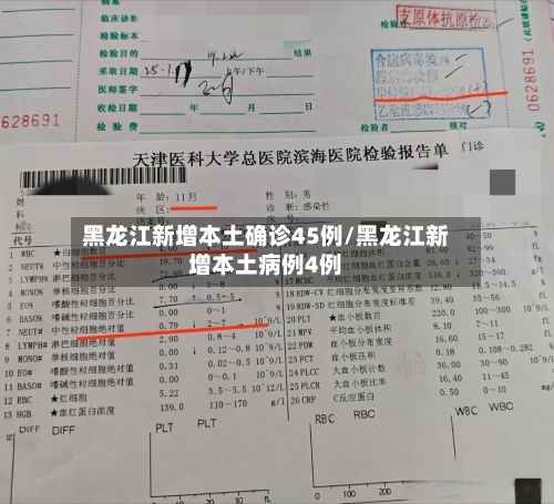 黑龙江新增本土确诊45例/黑龙江新增本土病例4例-第2张图片