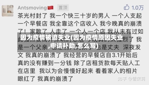 因为疫情被迫失业(因为疫情原因失业,申请补助,怎么写)