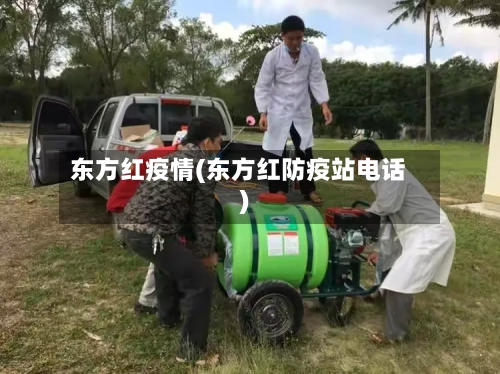东方红疫情(东方红防疫站电话)