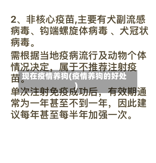 现在疫情养狗(疫情养狗的好处)-第2张图片