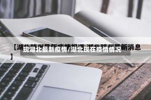 现湖北最新疫情/湖北现在疫情情况-第2张图片
