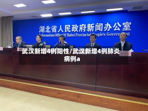 武汉新增4例阳性/武汉新增4例肺炎病例a
