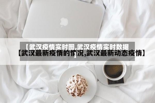 【武汉疫情实时图,武汉疫情实时数据】