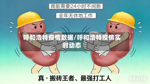 呼和浩特疫情数据/呼和浩特疫情实时动态-第3张图片