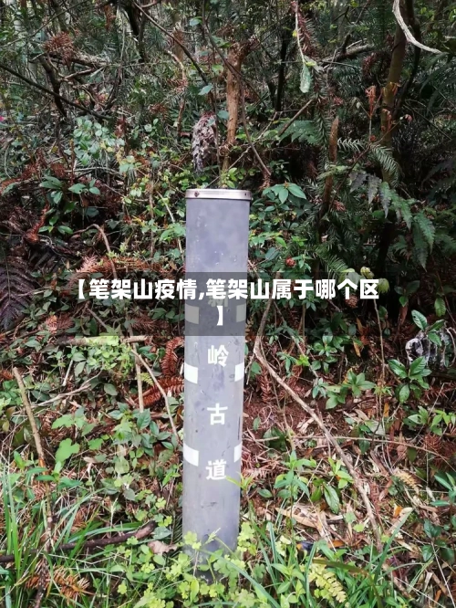 【笔架山疫情,笔架山属于哪个区】-第2张图片