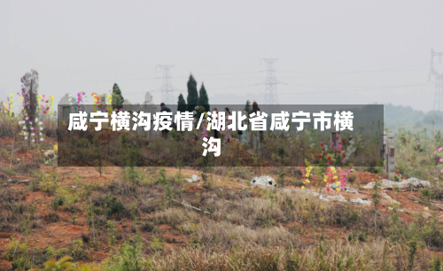 咸宁横沟疫情/湖北省咸宁市横沟-第2张图片
