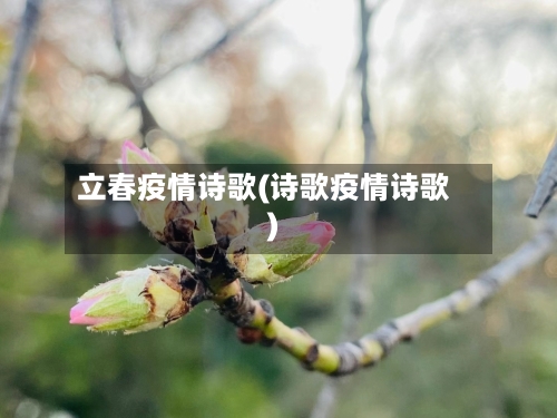 立春疫情诗歌(诗歌疫情诗歌)-第2张图片