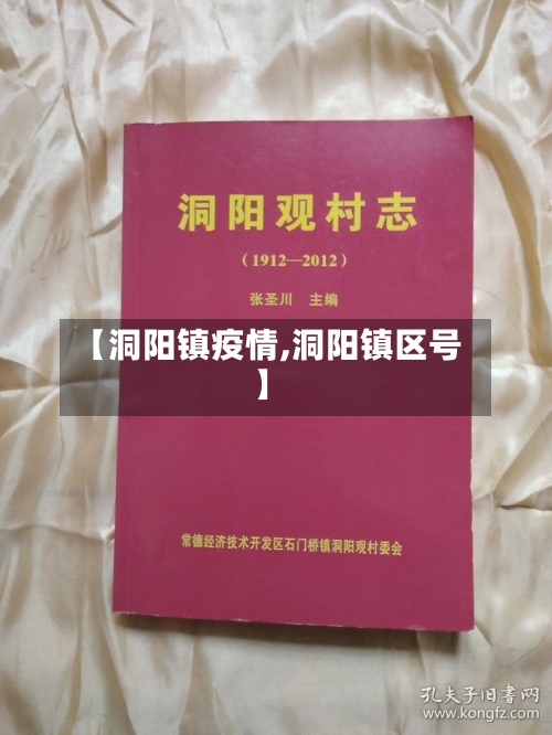 【洞阳镇疫情,洞阳镇区号】