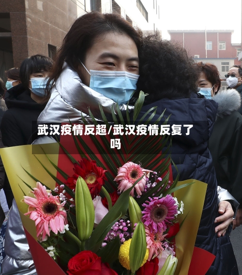 武汉疫情反超/武汉疫情反复了吗-第3张图片