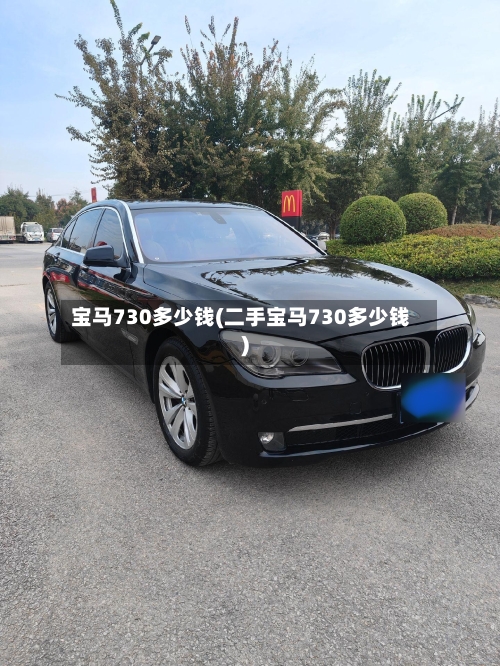 宝马730多少钱(二手宝马730多少钱)-第3张图片